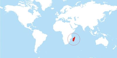 Карта расположения Мадагаскар на мир